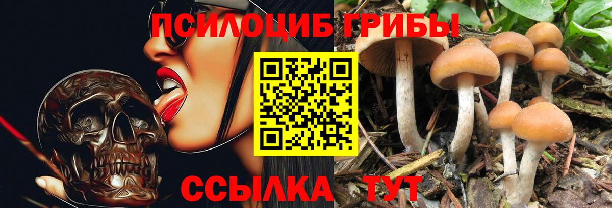 Галлюциногенные грибы Magic Shrooms Усолье-Сибирское